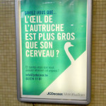 L'oeil de l'autruche est plus gros que son cerveau - Pub JCDecaux