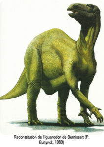 Reconstitution d'un iguanodon datant de 1989